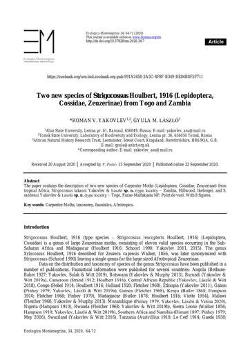 Yakovlev, R.V. & László, G.M. 2020. Two new species of Strigocossus Houlbert, 1916 (Lepidoptera, Cossidae, Zeuzerinae) from Togo and Zambia. Ecologica Montenegrina, 34: 64–72.